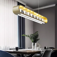Modern LED Bulb Pendant Ceiling Light